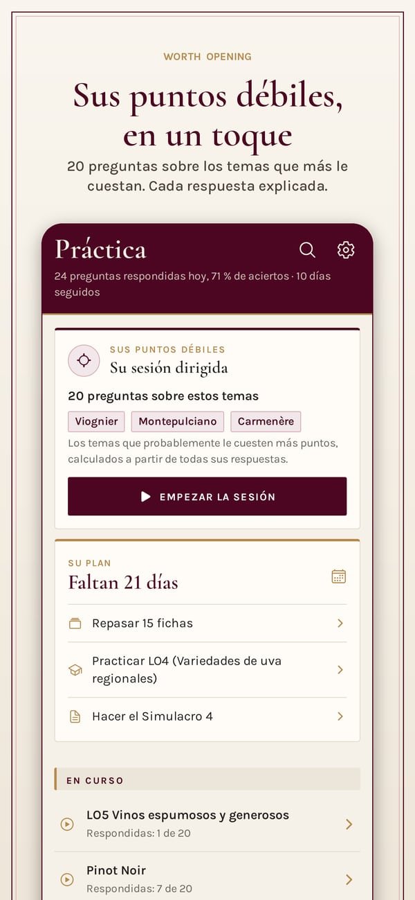 Worth Opening: WSET Level 2. Entrenar: una serie de veinte preguntas sobre los temas que más puntos cuestan