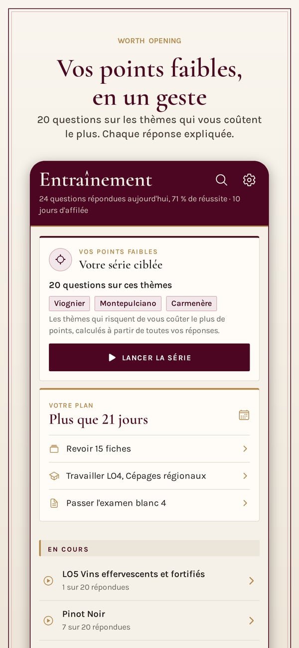 Worth Opening: WSET Level 2. L'entraînement : une série de vingt questions sur les thèmes qui coûtent le plus de points