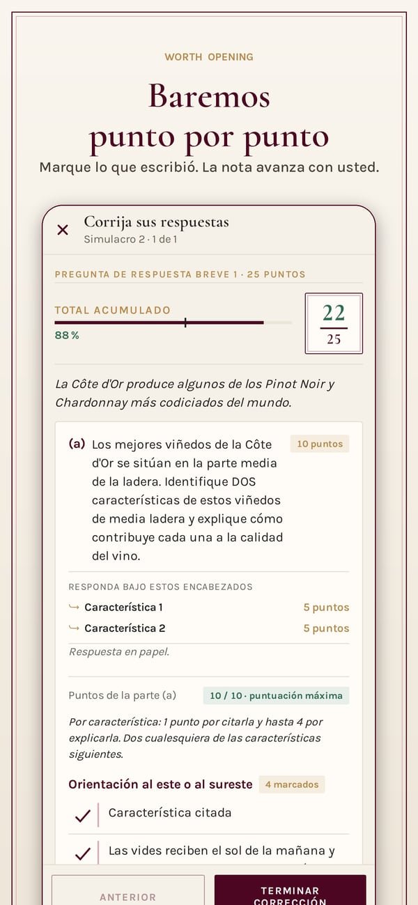 Worth Opening: WSET Level 3. Una respuesta escrita corregida punto por punto frente a su guía de corrección