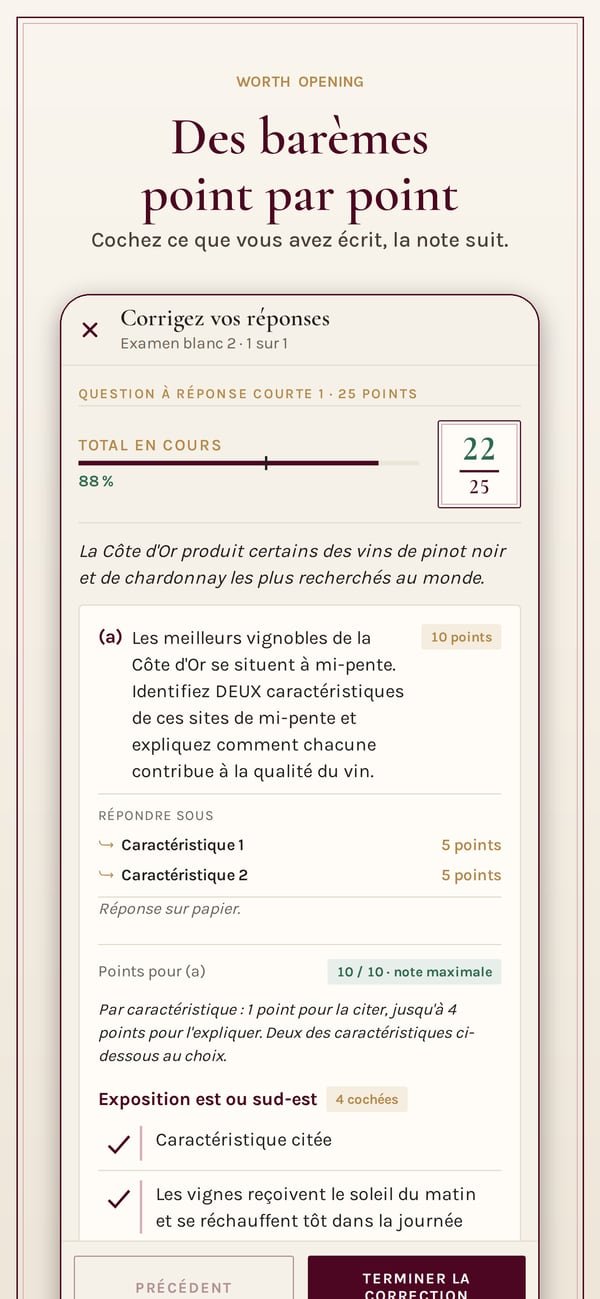 Worth Opening: WSET Level 3. Une réponse rédigée corrigée point par point face à son barème