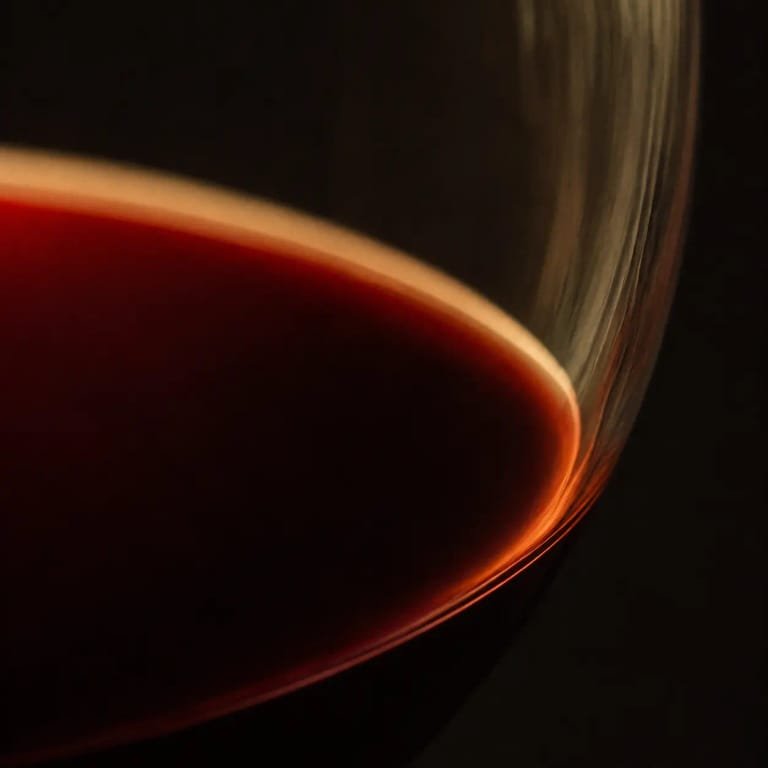 Close view of the edge of red wine against the curve of a glass
